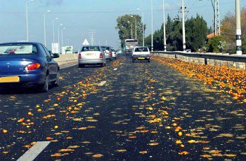 כיצד תנהג בהתאם לאירוע בתמונה (פרי הדר מפוזר על הכביש)?
